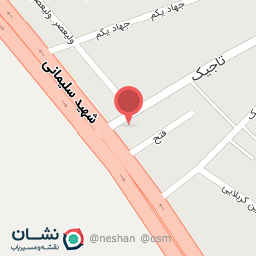 عکس پیتزا فست فود پرچم