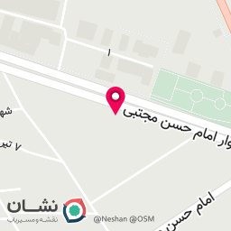 عکس گوشت منجمد علی