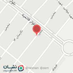 عکس کیف و کفش رضایی 