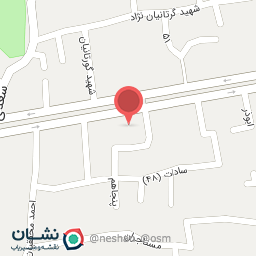 عکس پیتزا و فست‌فود شاپ