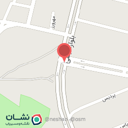 عکس تهیه غذا زعفرون