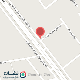 عکس اتو سرویس برادران رامی یادگار