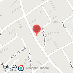 عکس پیتزا آنسه