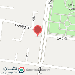 عکس کفش آدیستار