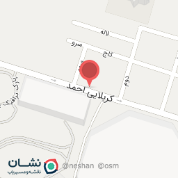 عکس دکتر سهیلا اژدریان