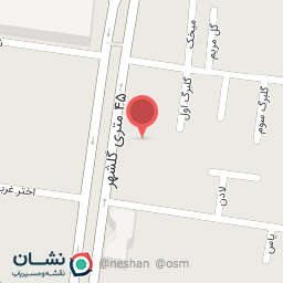 عکس صافکاری و نقاشی پژمان