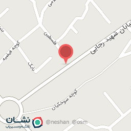 عکس کیف و کفش پانار