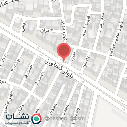 عکس مرغ فروشی باران