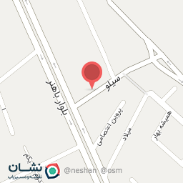 عکس تهیه‌ غذای‌ الماس