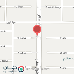 عکس فرش برداران نادمی 