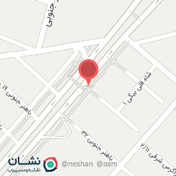 عکس تهیه غذای لئو