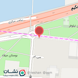 عکس فست فود ناربن