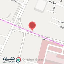 عکس کاج برگر