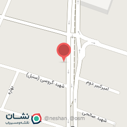 عکس آژانس مسافرتی پرواز نقره ای