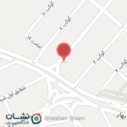 عکس پیتزا ایتالیایی فیل