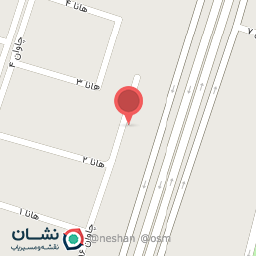 عکس پوشاک آرایشی کفش اسباب بازی