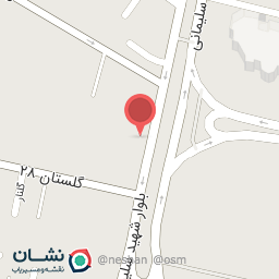 عکس گل سانسوریا