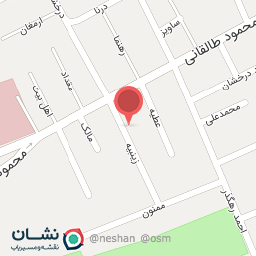 عکس فروشگاه و آموزشگاه قلم زنی نقشینه