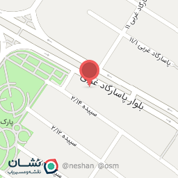 عکس بمب آبگوشت کله 