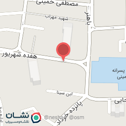 عکس فیزیوتراپی وطب سوزنی شفا