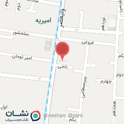 عکس طلا و جواهر زینازر