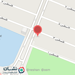 عکس گیم نت روبینا