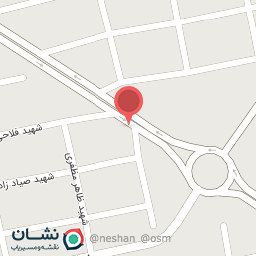 عکس شیرینی تمشک