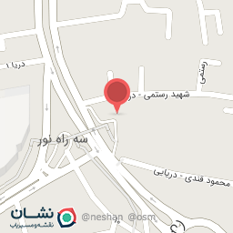 عکس پاچینی  مرغ بریان