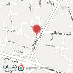 عکس پنیر پیتزای برگزیده