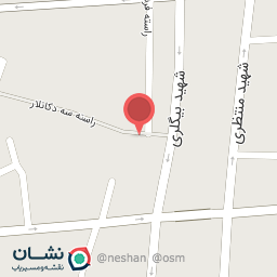 عکس کفش فروشی نام آوران 