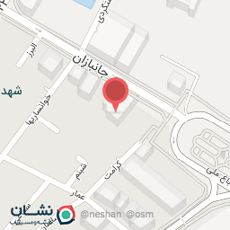 عکس کیف و کفش چیترا