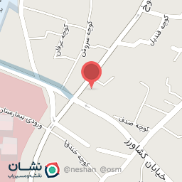 عکس الکتریکی روژ