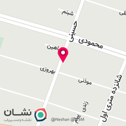 عکس گروه فنی مهندسی ریمو