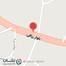 عکس تش برگر