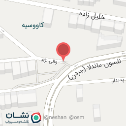 عکس گل آمستردام