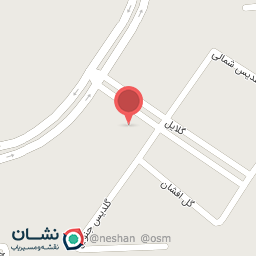 عکس آژانس کسب و کار دکتر شاهی
