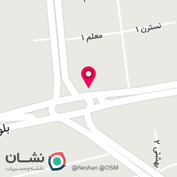 عکس فست فود مزه سوخاری