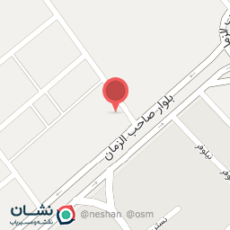 عکس پیتزا پرنس