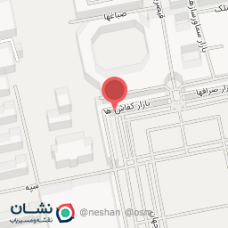 عکس ترمه دیبا
