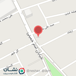 عکس اسلحه چیتا