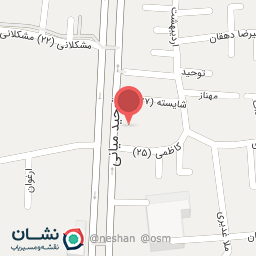 عکس دکتر طاهره نصراصفهانی