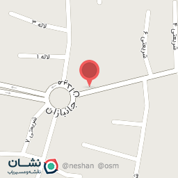 عکس پروتئین برادران طبرستانی