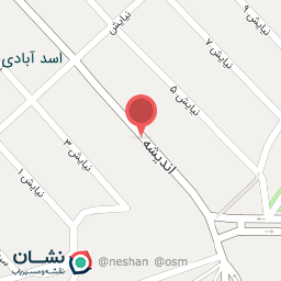 عکس مرغ روز