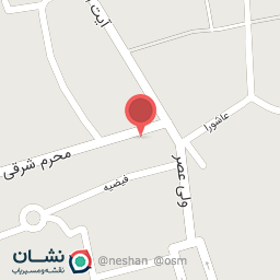 عکس کیف و کفش علی