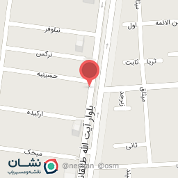 عکس الکتریکی طاها