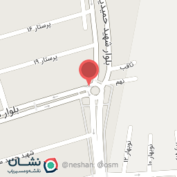 عکس تهیه غذای زیتون