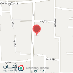 عکس رسا پرواز گیتی