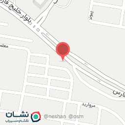 عکس مستر فست فود صادق