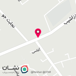 عکس رنگ نیپون دزاشیب