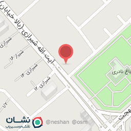 عکس پیتزا یاس